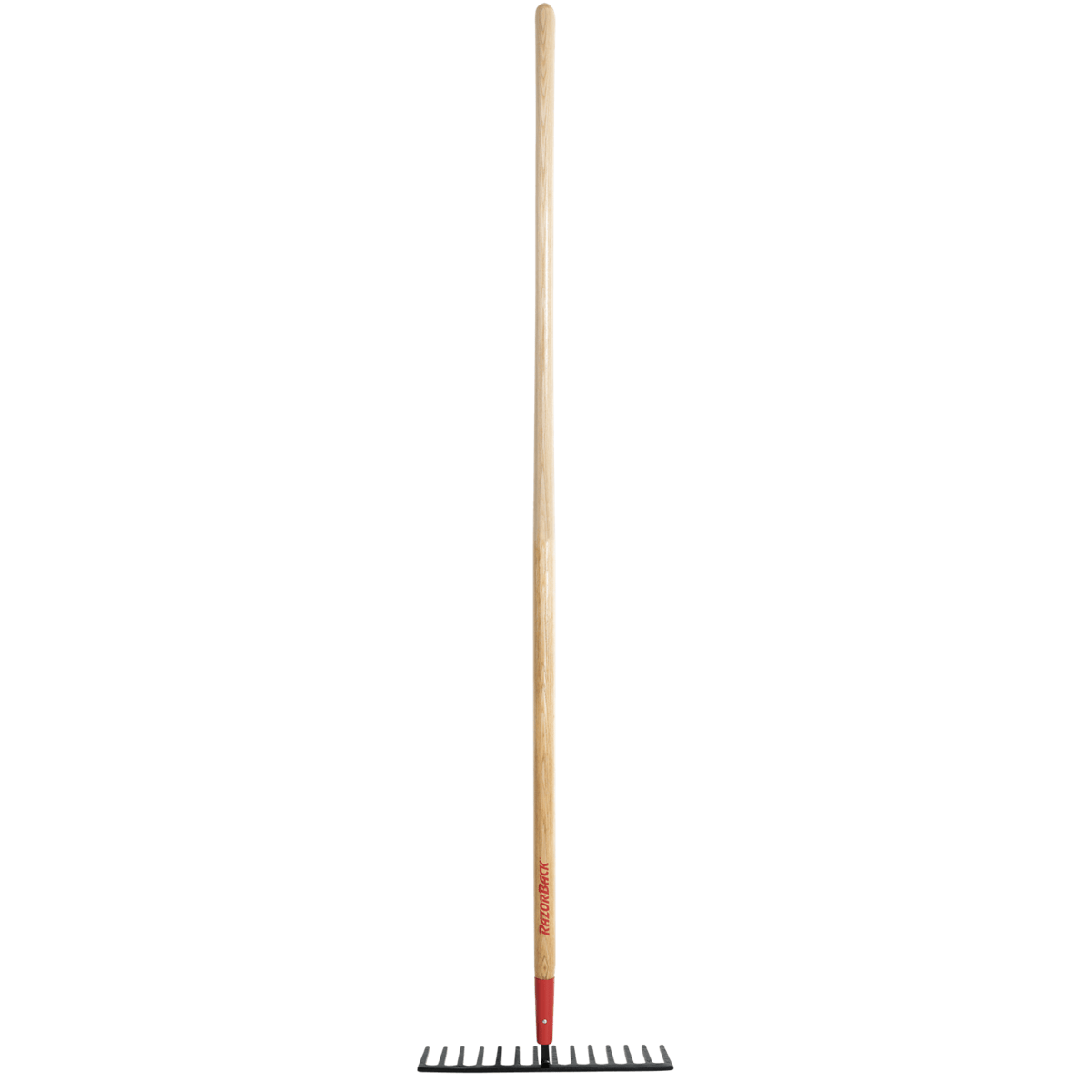 Razor-Back 14 Tine Road Rake, Forged, w/ Wood Handle