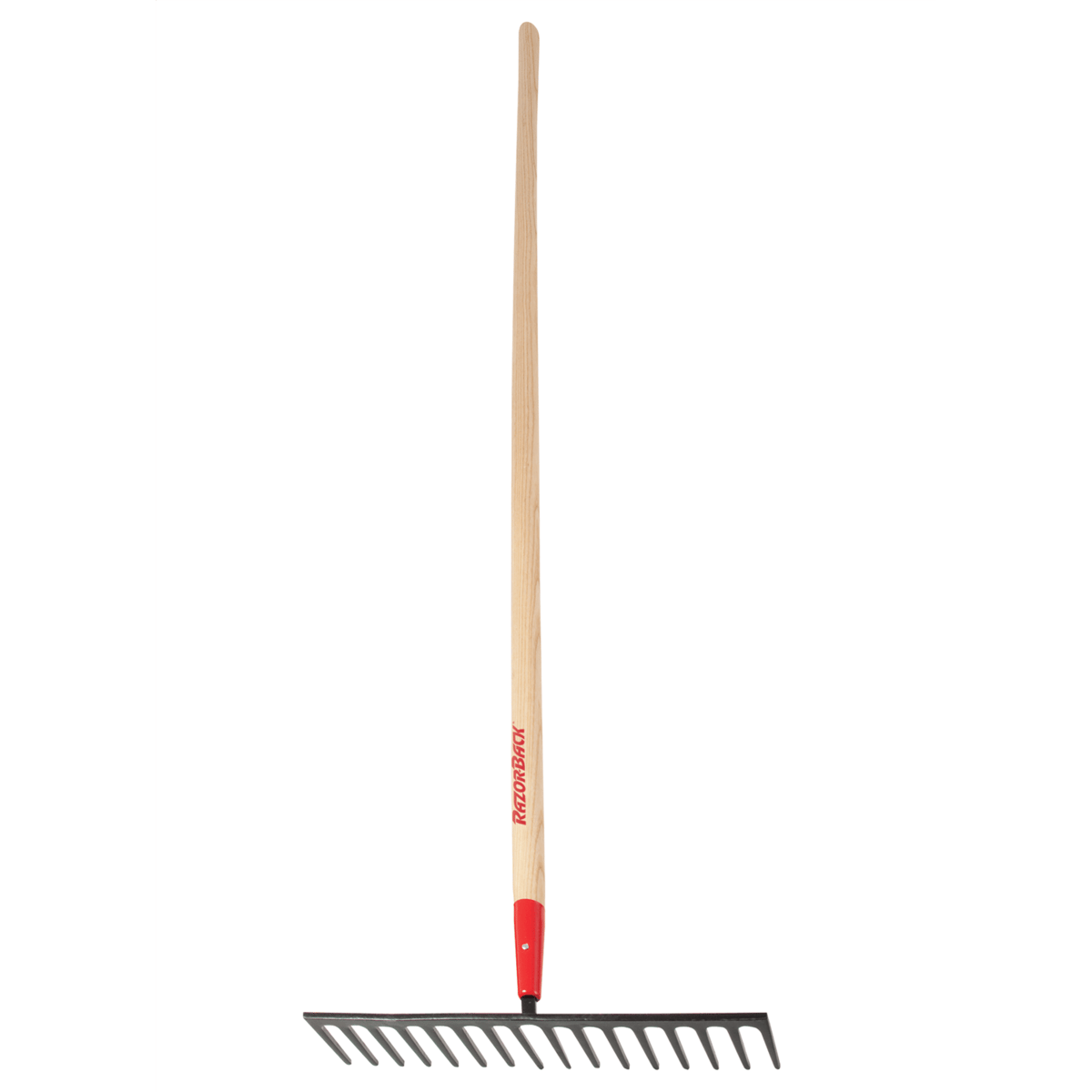 Razor-Back 16 Tine Road Rake, Forged, w/ Wood Handle