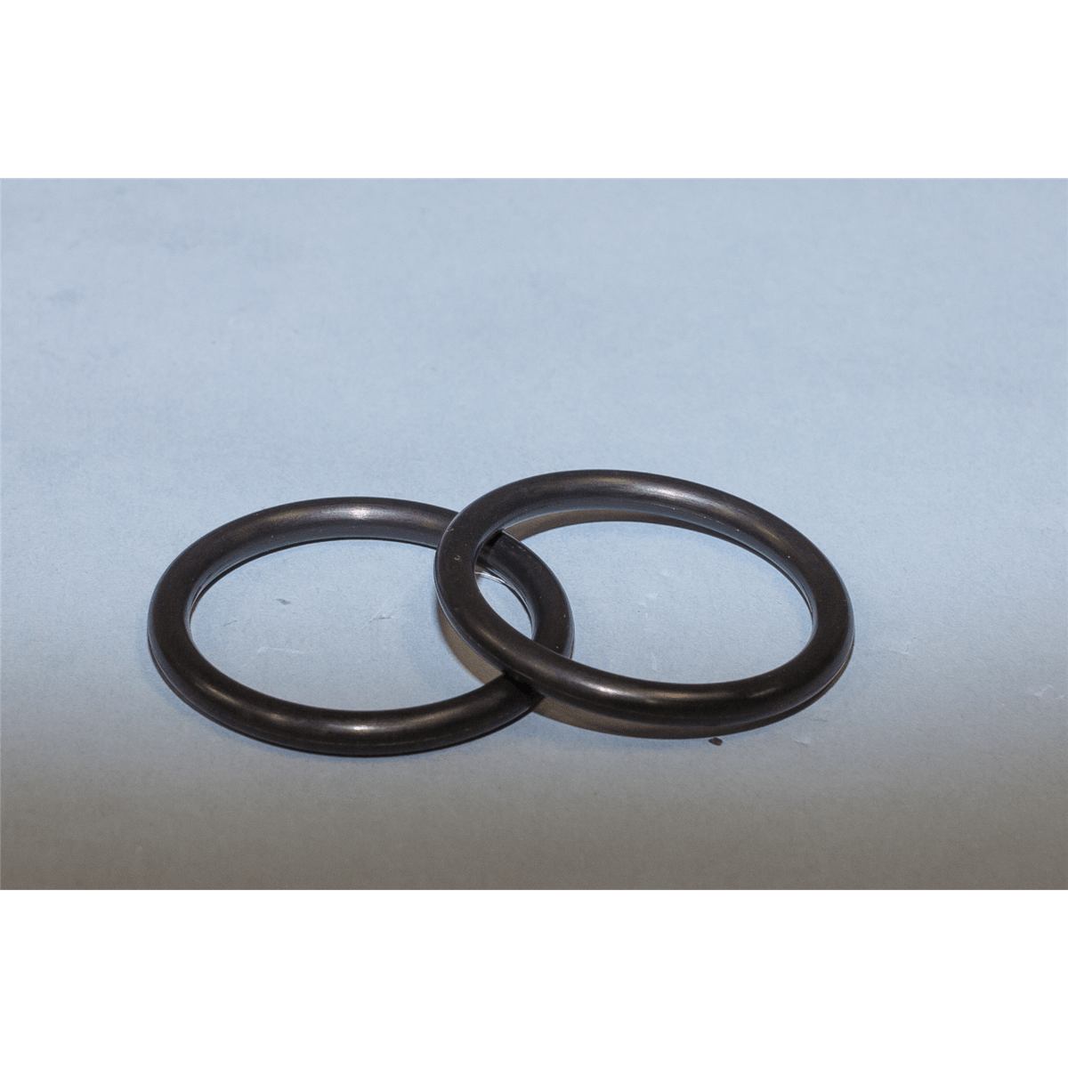 Water Plus Corp Replacement Dirt Cap O-Ring