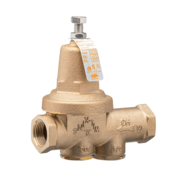 Zurn 3/4" 600XL PRV Less Union w/Chrome Stem Plunger, Sealed Cage, SS Adj Screw, 34-600XLLUCHSC