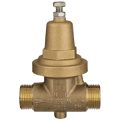Zurn 3/4" 70XL PRV w/Double Male Meter Tailpiece, Sealed Cage, SS Adj Screw Spring, 34-70XLDMSS