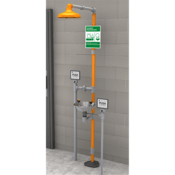 Guardian® Freeze Resistant Combination Safety Station, SS Bowl, Bury Valves GFR1902