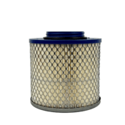 Royal Filter Polish Filter for FRH & FCRH, Replacement for Universal P5 & 81-0317