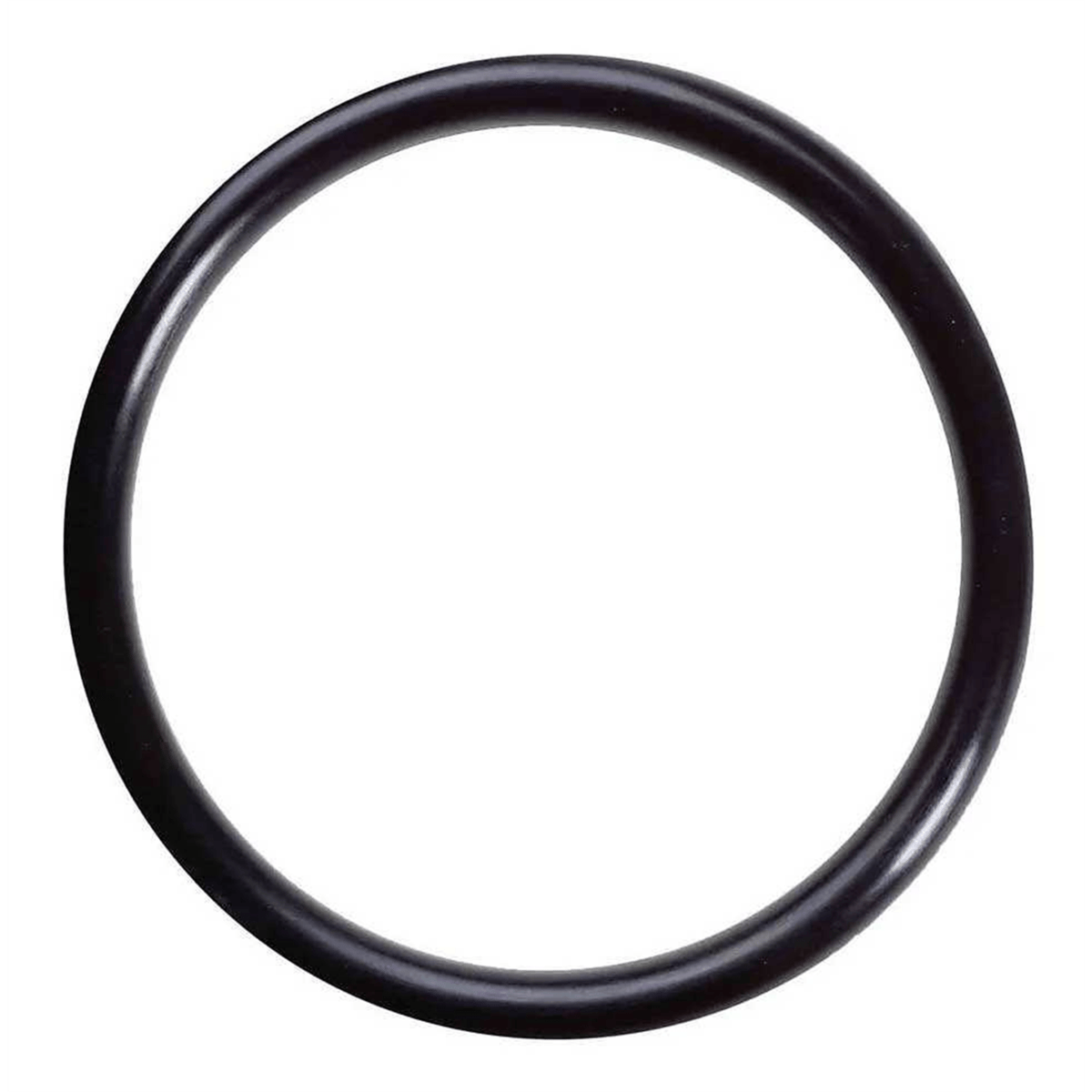 O-Ring for HF5HT Hot Water Filter Housing
