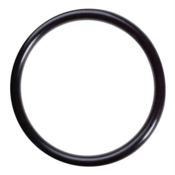 O-Ring for HF5HT Hot Water Filter Housing