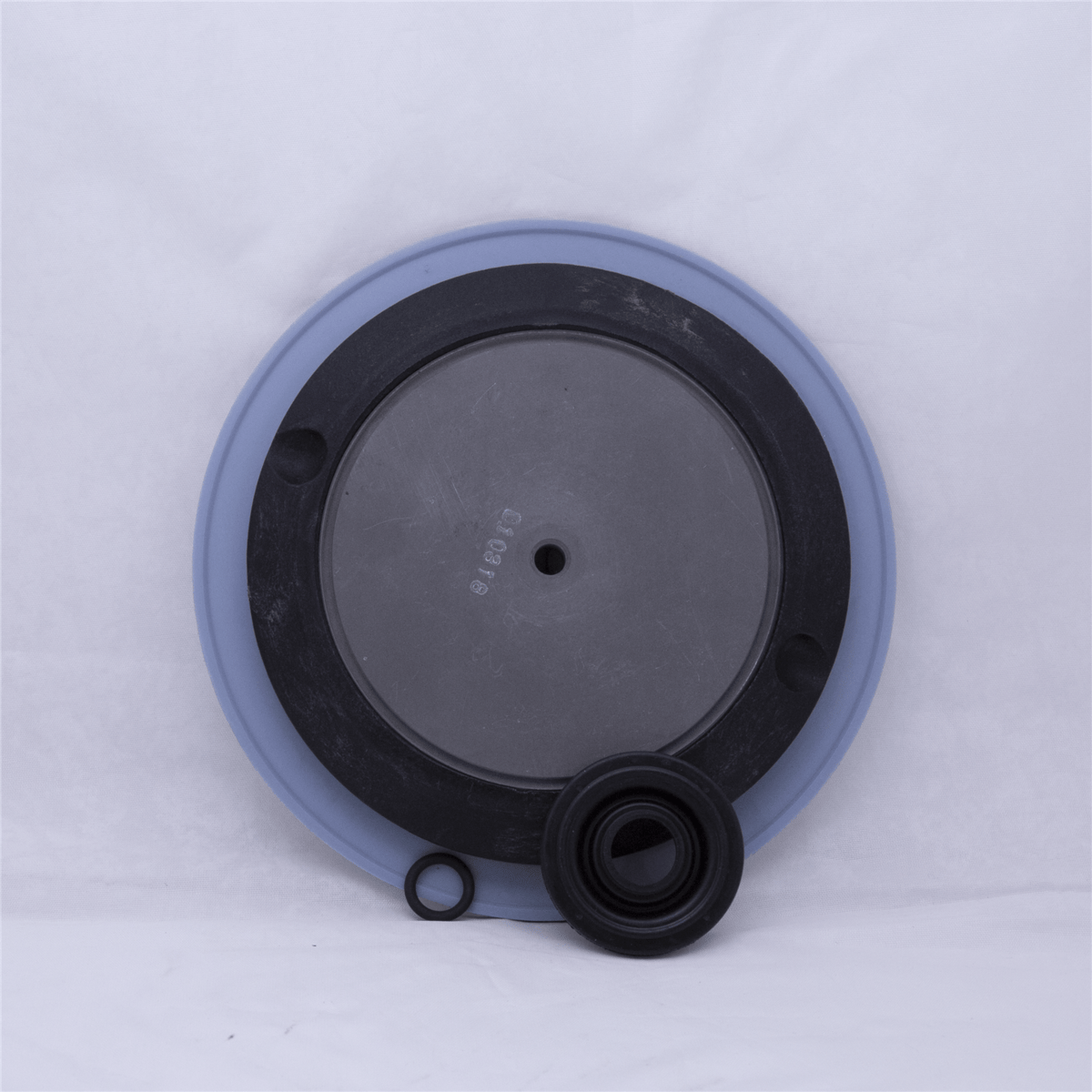 Pulsafeeder BLACKLINE Diaphragm Kit, DIA-G-1