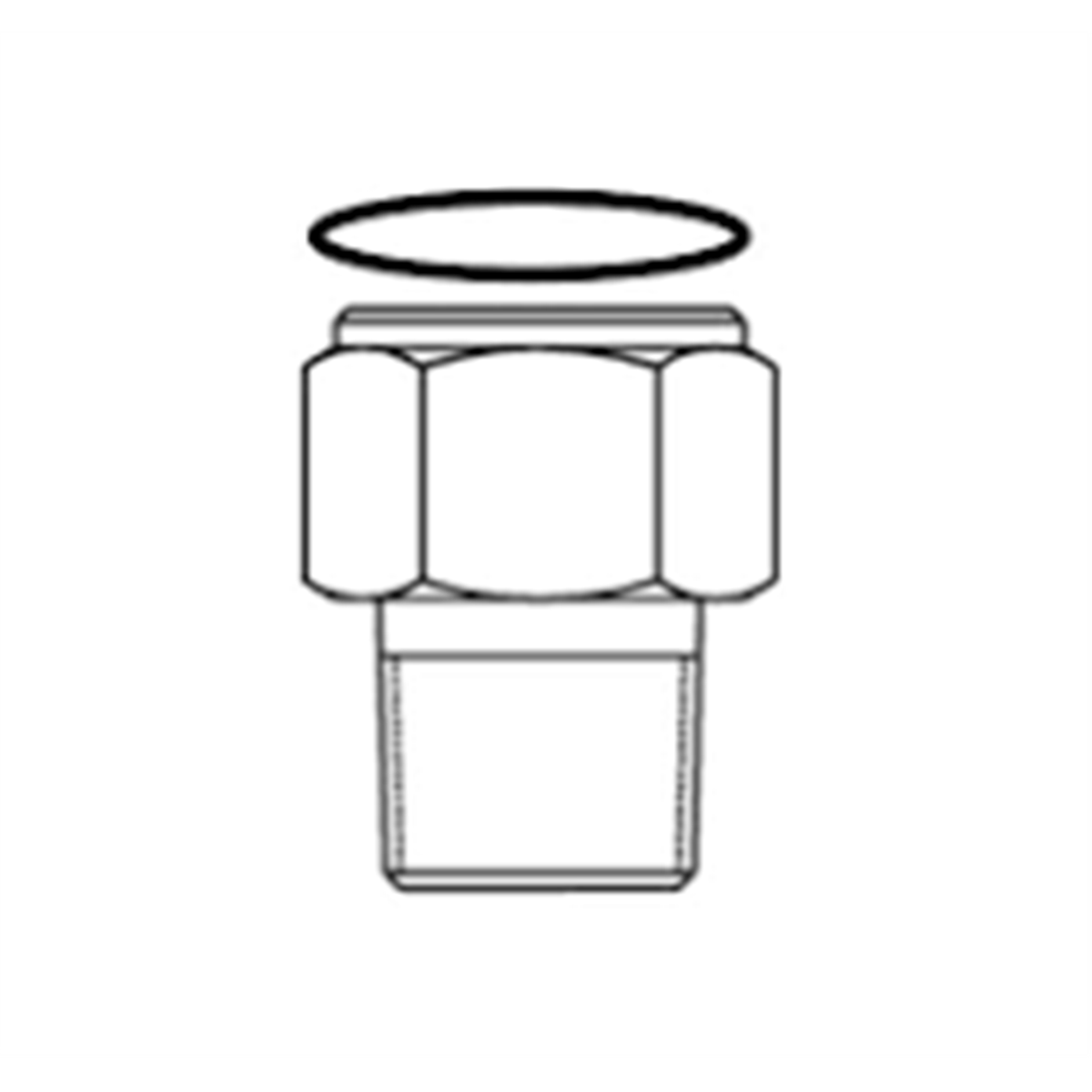 WIKA SS Nosecap Thread Adapter for LH-10, 1/2" MNPT x 1/4" FNPT 1631322