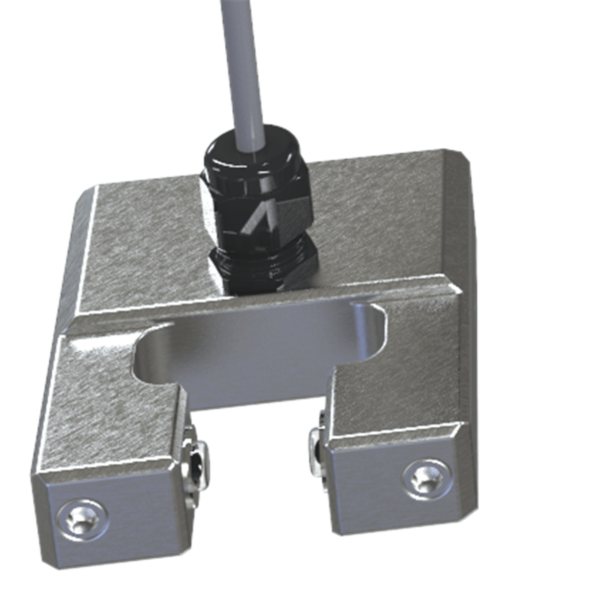 Raven Filter Media Manager, 25 ft (7.6m) Cable, Round Rail Clamp