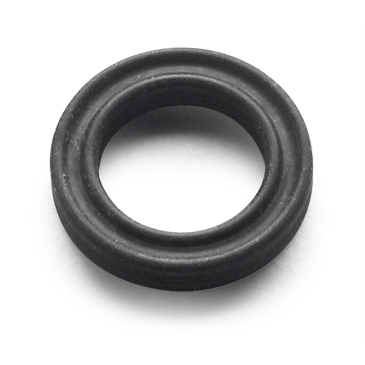 Hach Quad Ring Seal, 0.25" for Cl17, 1971900