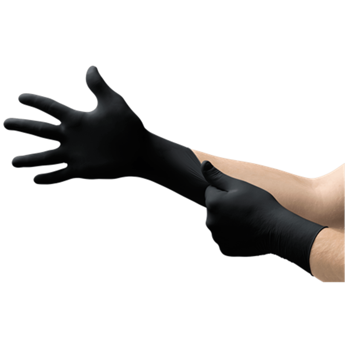 Black Dragon Powder Free Latex Gloves, Large, Box of 100