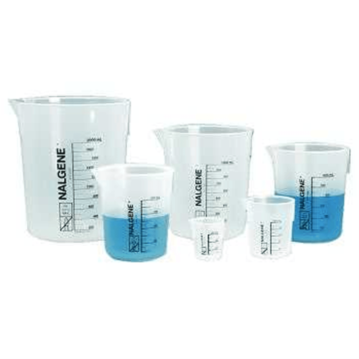 Nalgene™ Polypropylene Griffin Low-Form Plastic Beaker, 100 mL, 12/Pack, 1201-0100