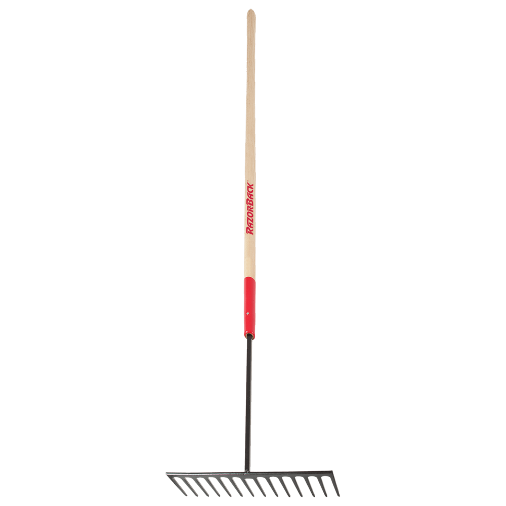 Asphalt rake new arrivals