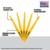 DEWALT 6 TPI Blades for Wood Applications, 9
