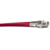 Piranha LLRD Series 5000 PSI Red Jetting Line Hose Assy, 1/4